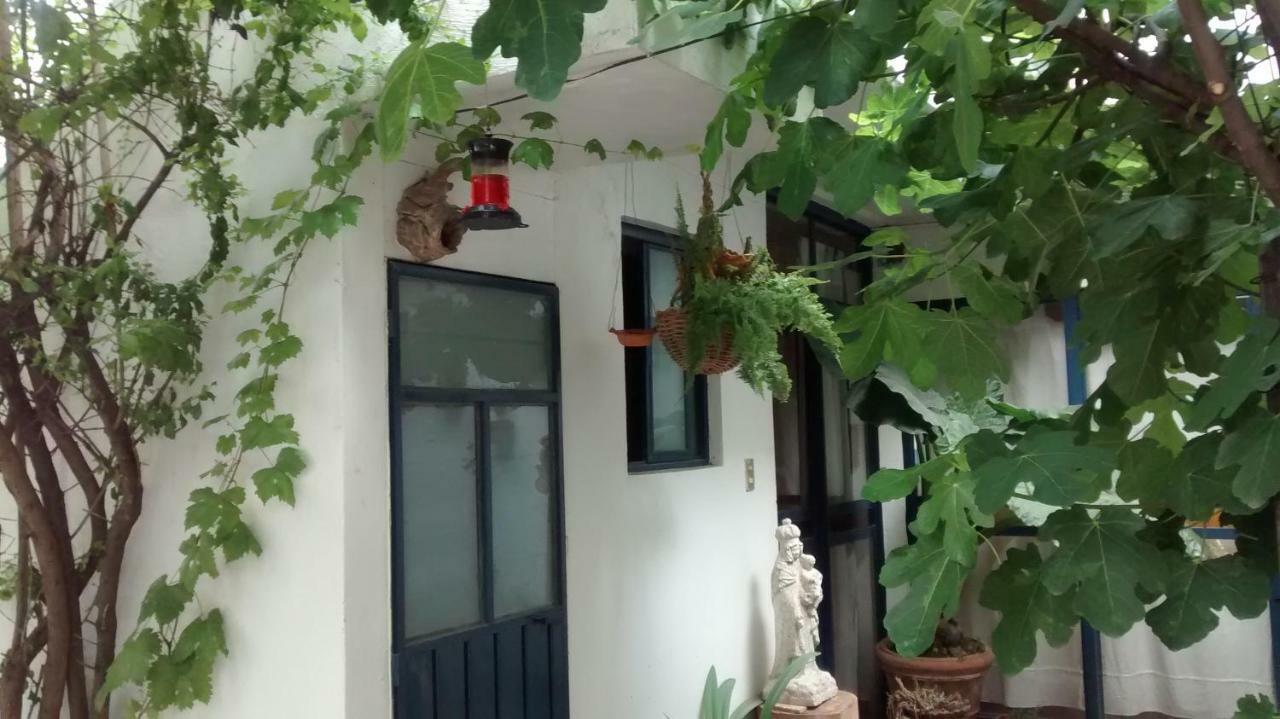 Hostal El Cascabel Cholula Exteriör bild